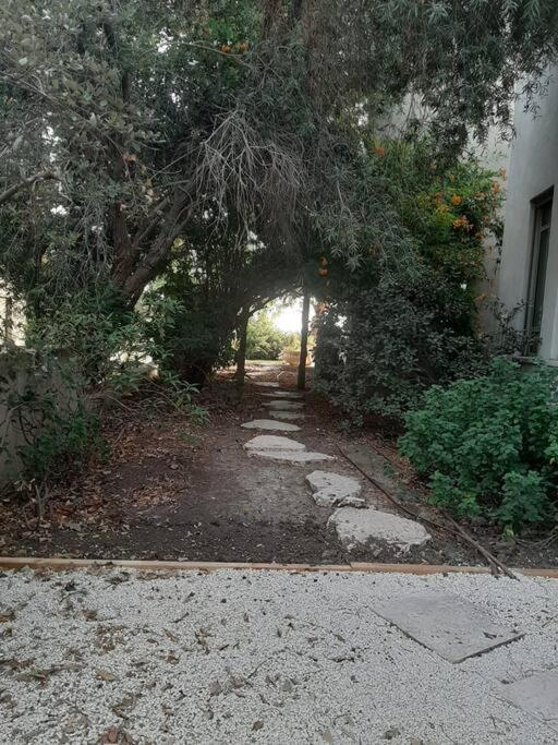 A Spot On The Hill *